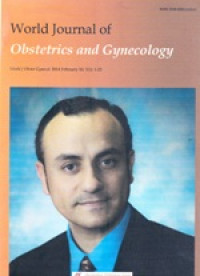 Image of Akuntansi Manajemen Informasi untuk Pengambilan Keputusan Strategis