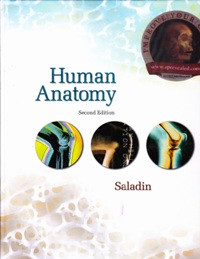 Image of Human anatomy